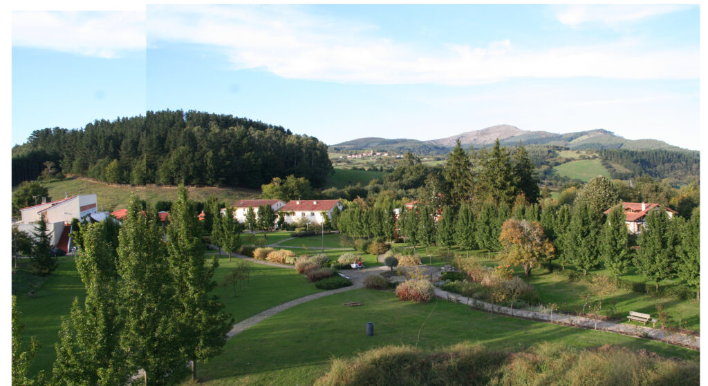 Helena Barquilla | Meditación en movimiento y Danza Consciente
