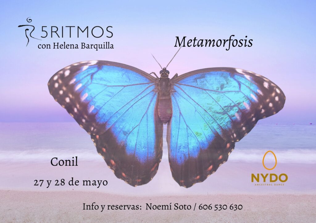 Helena Barquilla | Meditación en movimiento y Danza Consciente